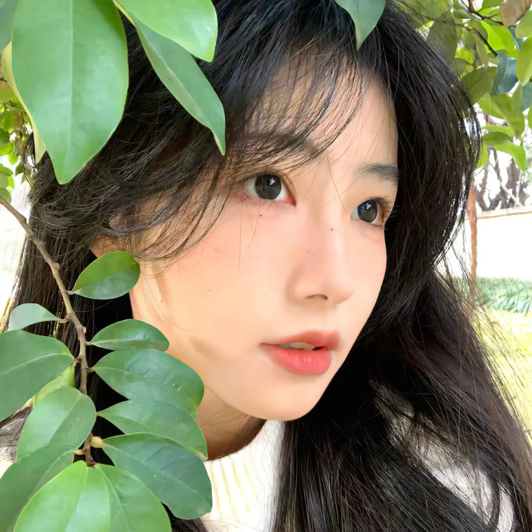 雄狮
