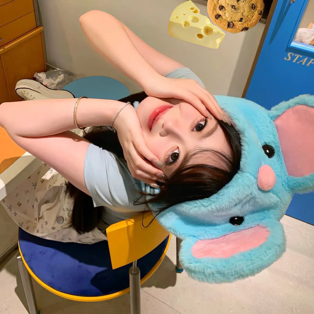 四光猪现蠢记
