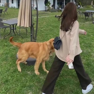 动物狂想曲第二季